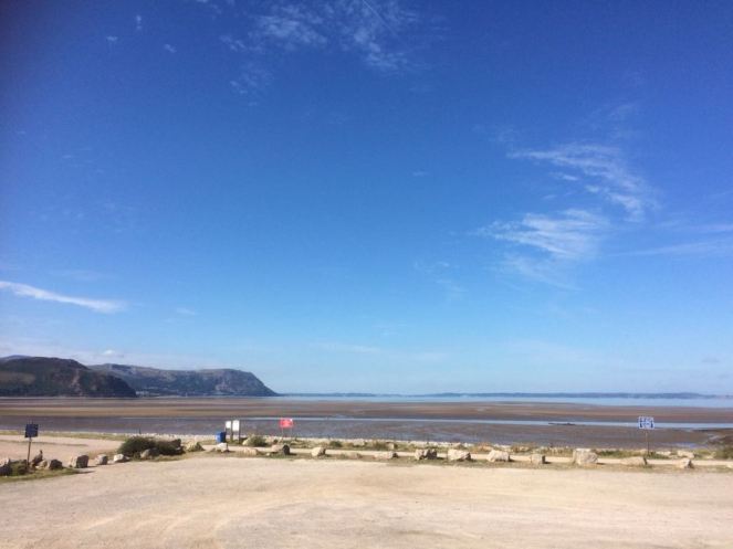 599f8a3a-2ef9-4cea-85e9-bf73e49428ab