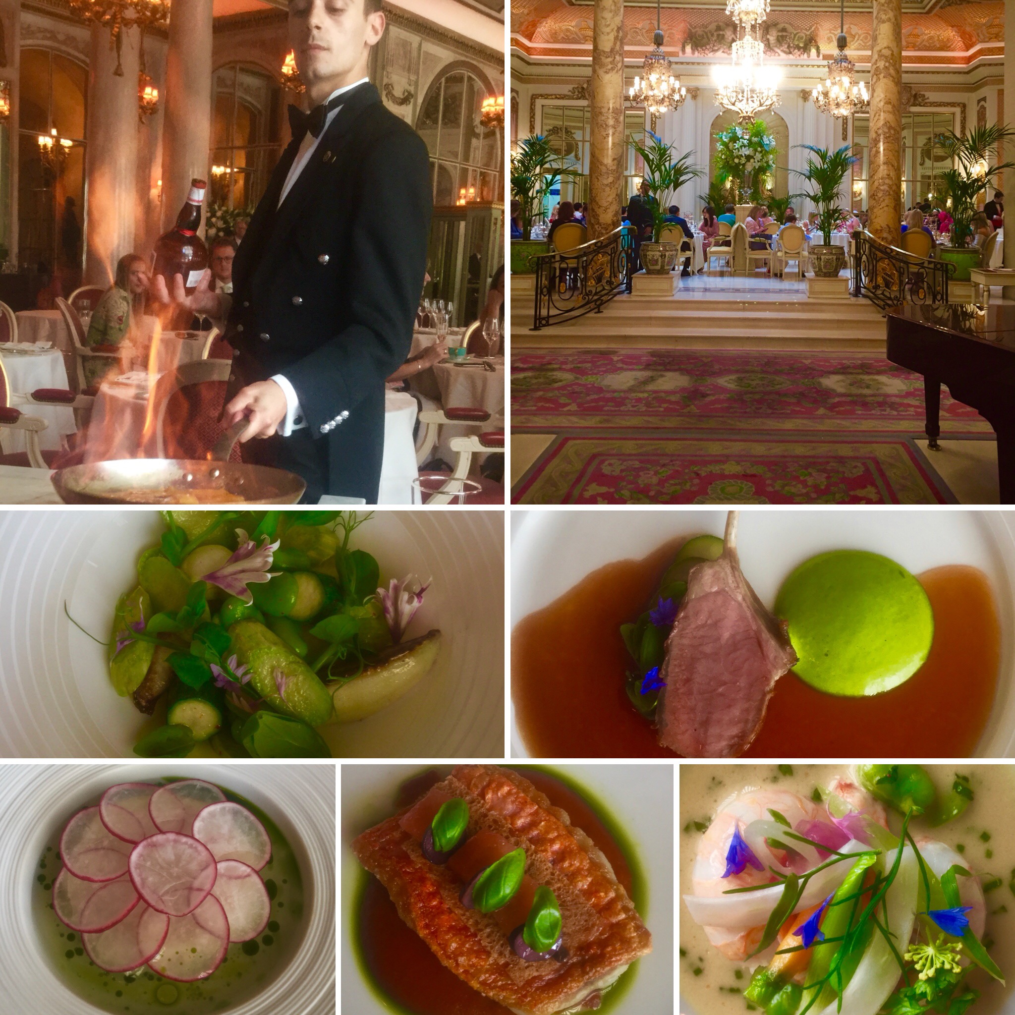 D1B90773-BD42-4694-8B7C-C2E4BCFB4166