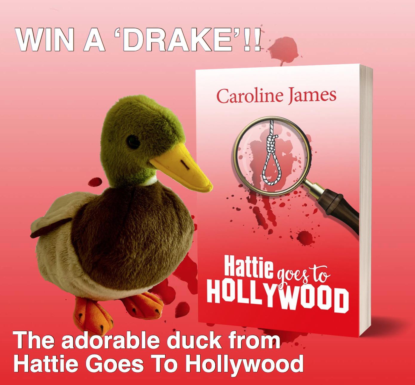 WIN A DRAKE HGTH