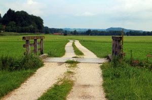 agriculture-barn-boardwalk-bridge-276460